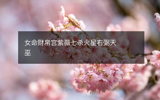 女命财帛宫紫薇七杀火星右弼天巫