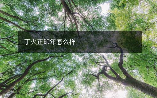 丁火正印年怎么样 丁火正印年怎么样