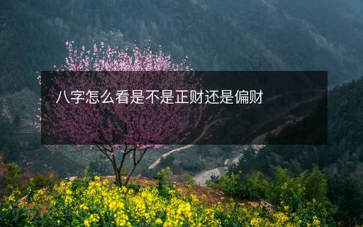 八字怎么看是不是正财还是偏财