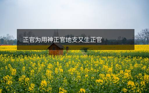 正官为用神正官地支又生正官