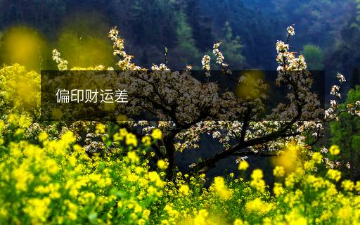 偏印财运差