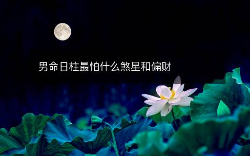 男命日柱最怕什么煞星和偏财