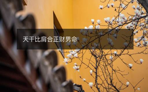天干比肩合正财男命
