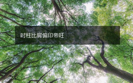 时柱比肩偏印帝旺