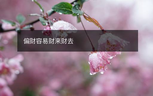 偏财容易财来财去