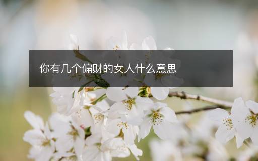 你有几个偏财的女人什么意思