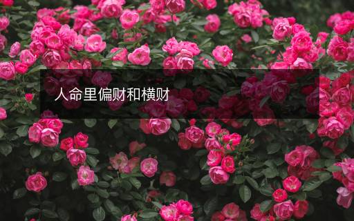 人命里偏财和横财