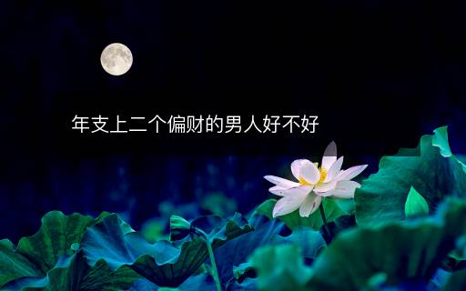 年支上二个偏财的男人好不好