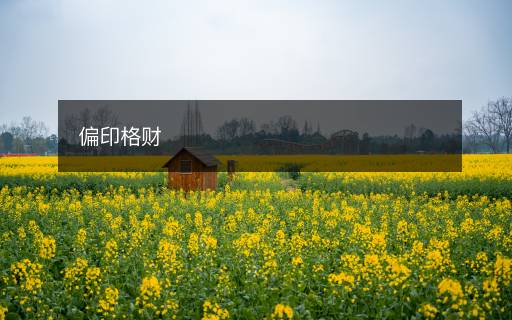 偏印格财