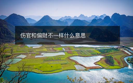 伤官和偏财不一样什么意思