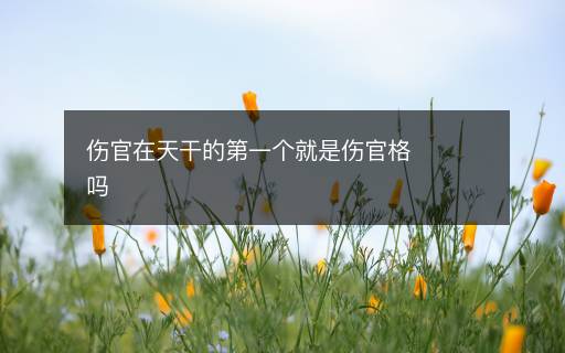 伤官在天干的第一个就是伤官格吗