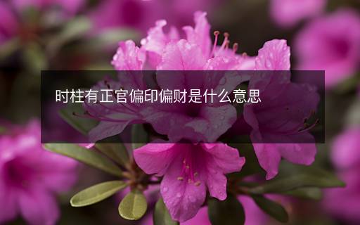 时柱有正官偏印偏财是什么意思