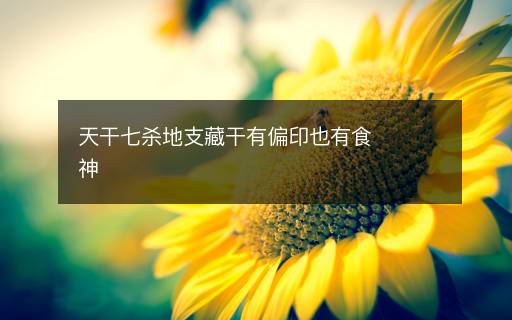 天干七杀地支藏干有偏印也有食神