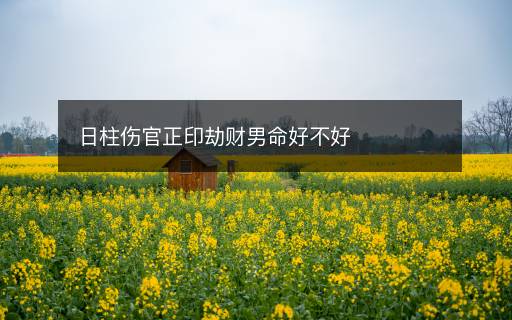 日柱伤官正印劫财男命好不好 日柱伤官正印劫财男命好不好