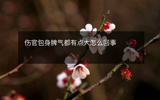 伤官包身脾气都有点大怎么回事