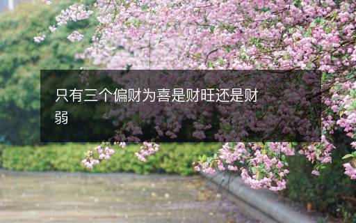只有三个偏财为喜是财旺还是财弱