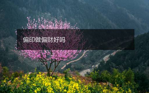 偏印做偏财好吗