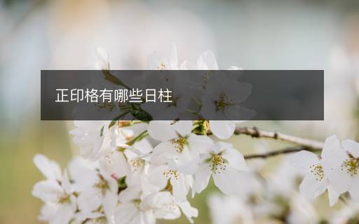 正印格有哪些日柱 正印格有哪些日柱