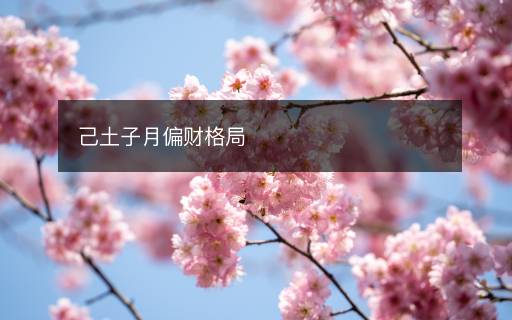 己土子月偏财格局