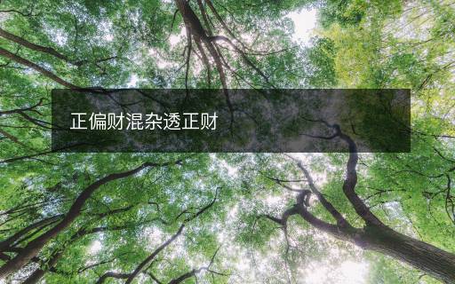 正偏财混杂透正财