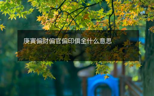 庚寅偏财偏官偏印俱全什么意思