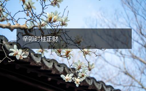 辛卯时柱正财