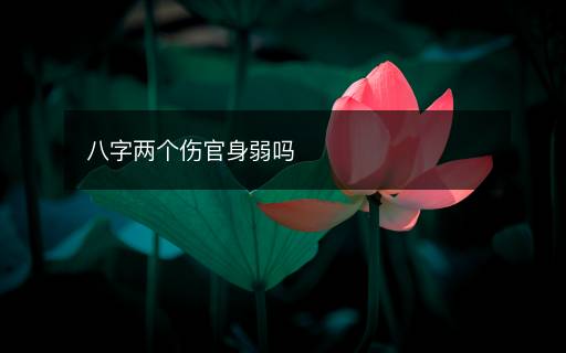 八字两个伤官身弱吗