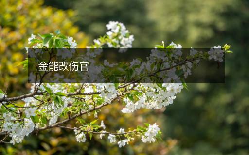 金能改伤官