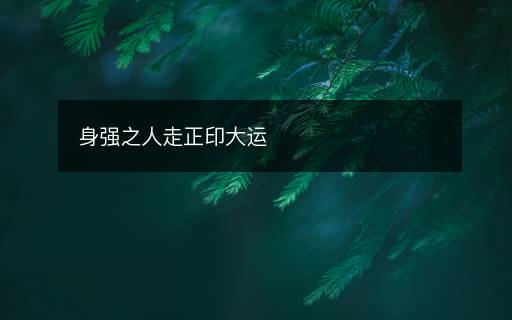 身强之人走正印大运
