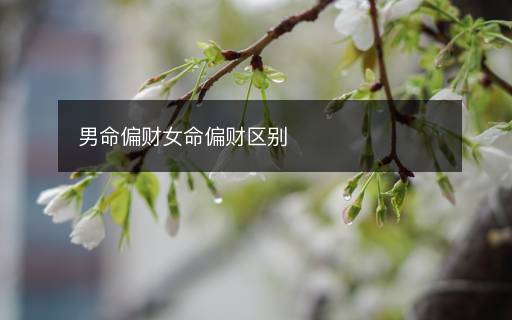 男命偏财女命偏财区别