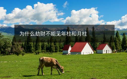 为什么劫财不能见年柱和月柱