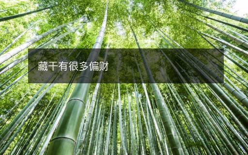 藏干有很多偏财