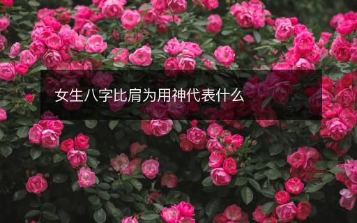 女生八字比肩为用神代表什么
