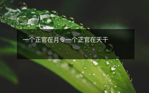 一个正官在月令一个正官在天干