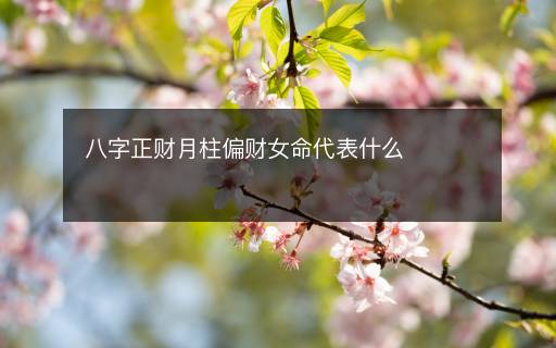 八字正财月柱偏财女命代表什么