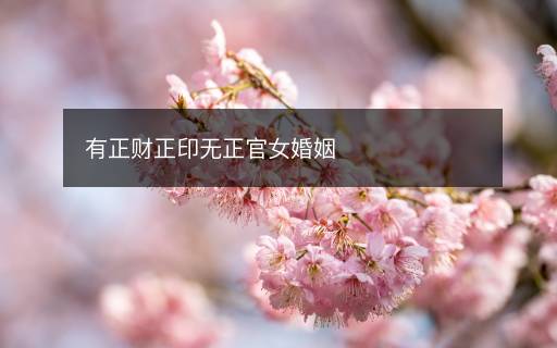 有正财正印无正官女婚姻