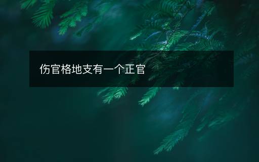 伤官格地支有一个正官 伤官格地支有一个正官