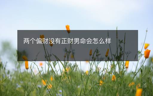 两个偏财没有正财男命会怎么样