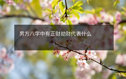 男方八字中有正财劫财代表什么