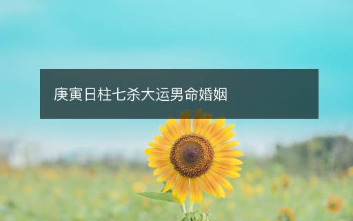 庚寅日柱七杀大运男命婚姻