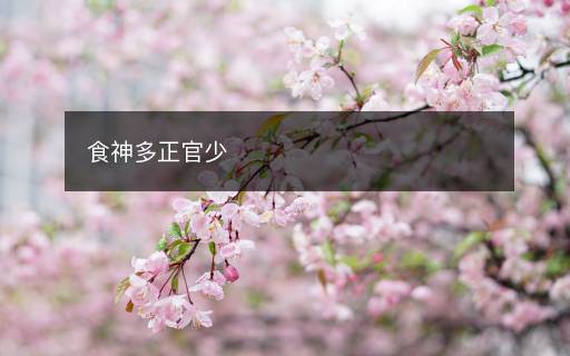 食神多正官少