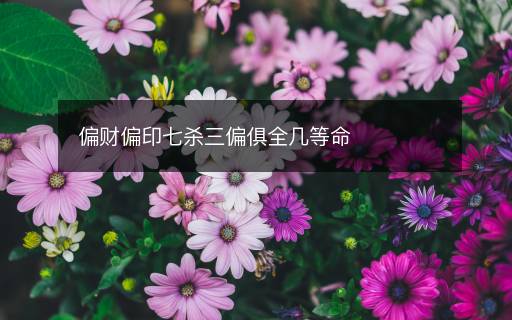 偏财偏印七杀三偏俱全几等命