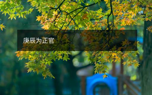 庚辰为正官