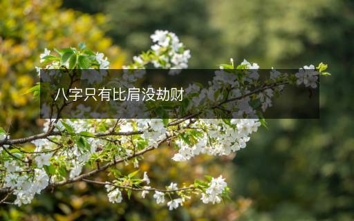 八字只有比肩没劫财