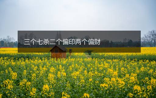 三个七杀二个偏印两个偏财