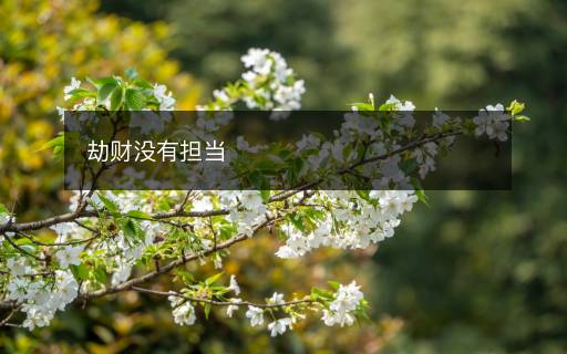 劫财没有担当