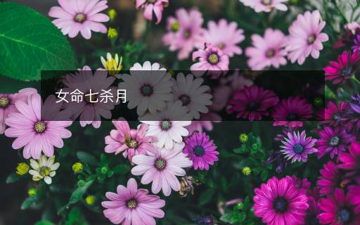 女命七杀月