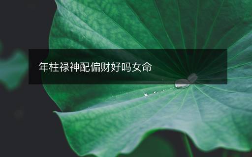 年柱禄神配偏财好吗女命