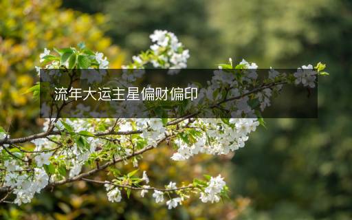 流年大运主星偏财偏印