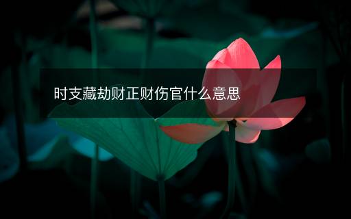时支藏劫财正财伤官什么意思